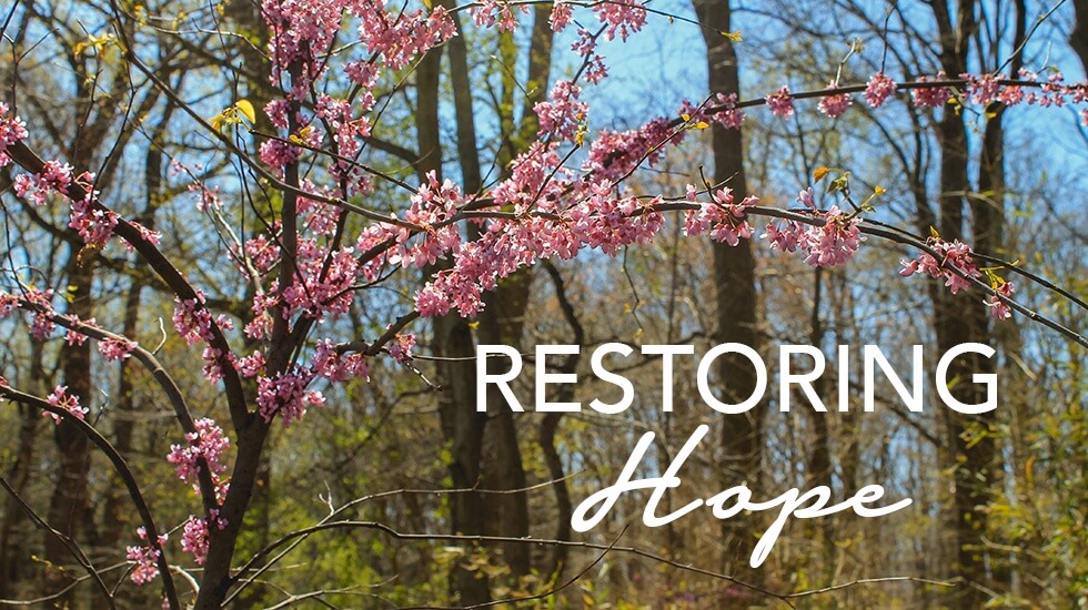 Restoring Hope: A Retreat for Metastatic Breast Cancer Patients
