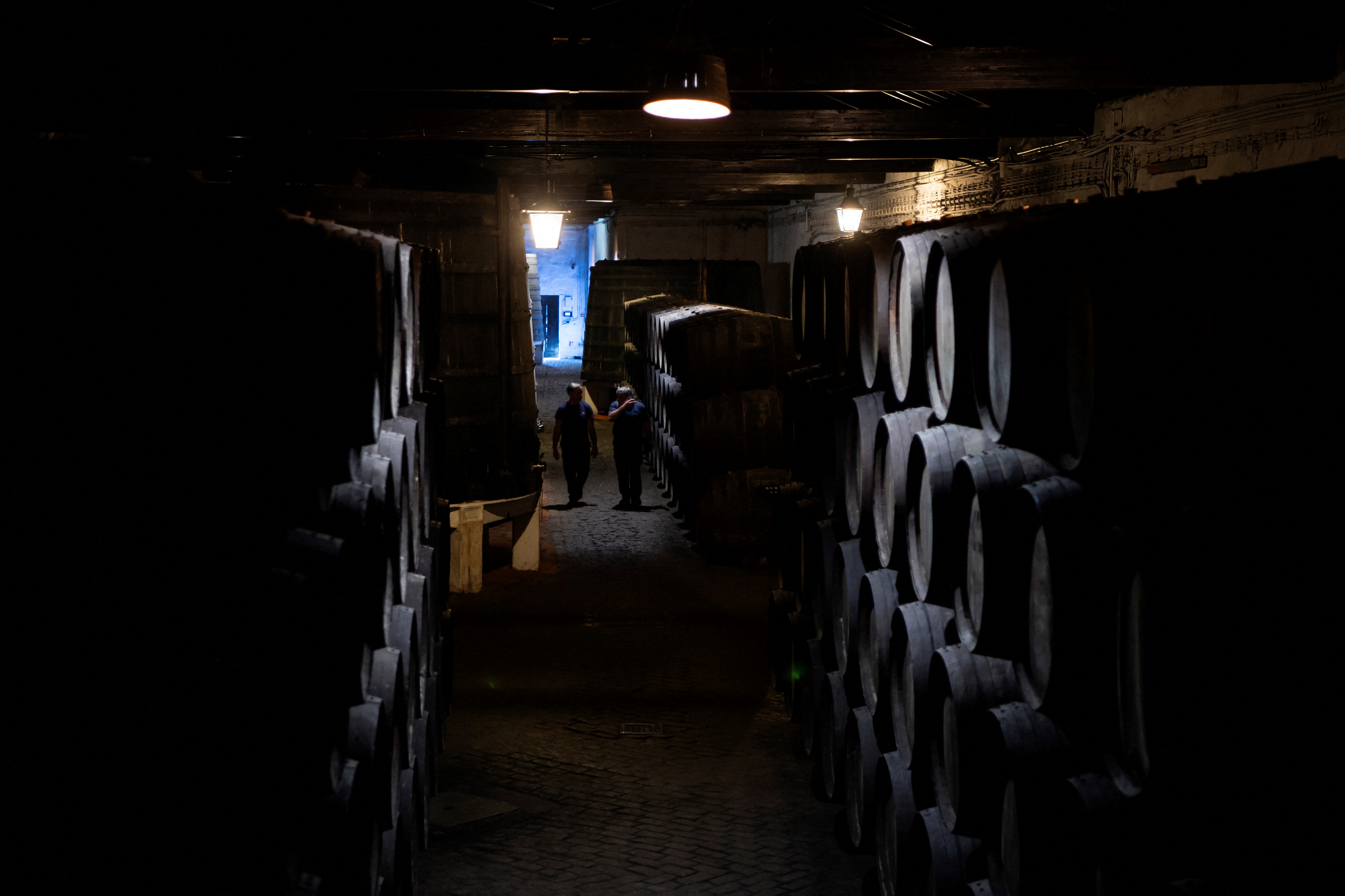 A dark wine cellar with a spot of light at the end of a tunnel.