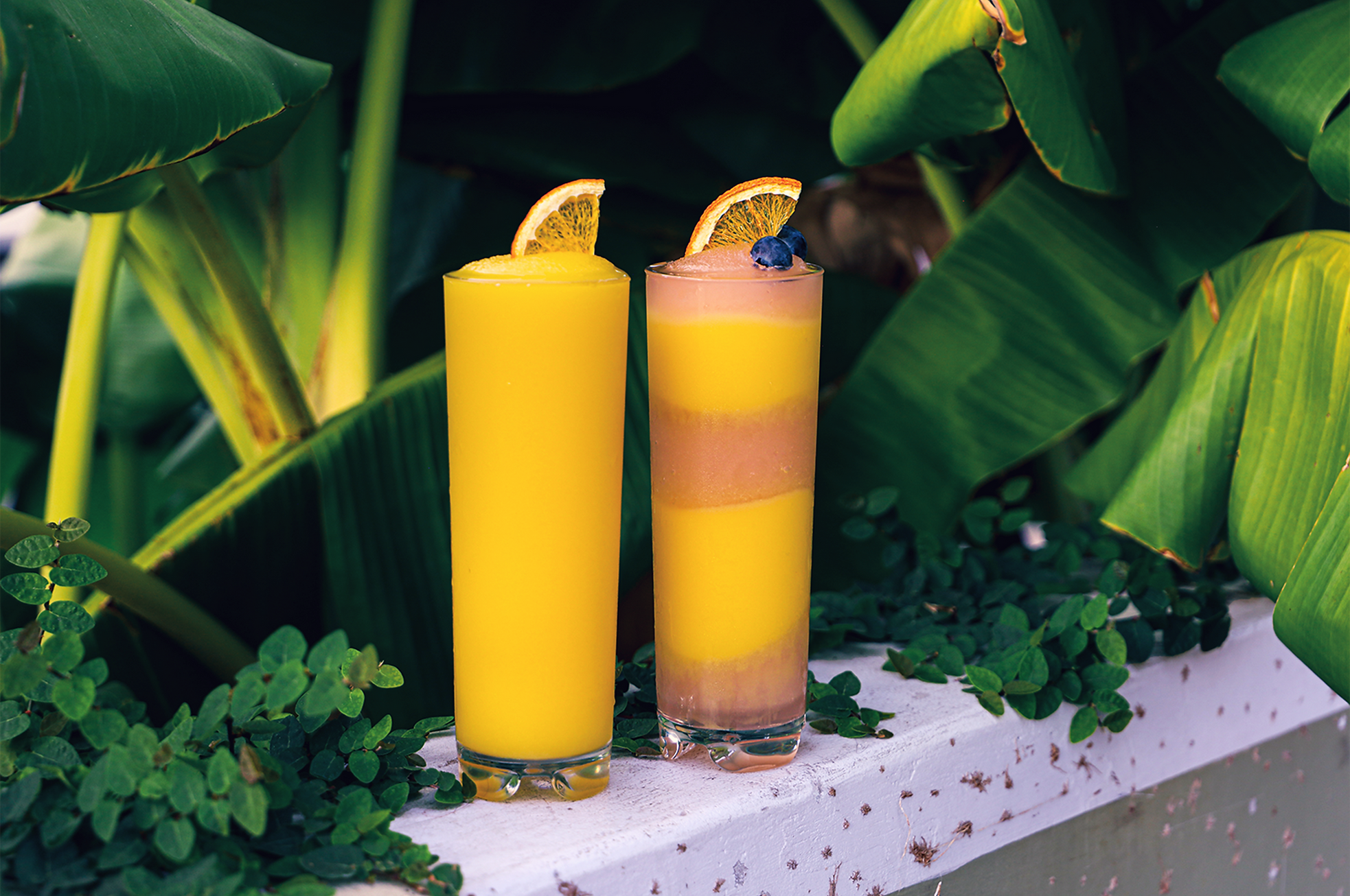 A pair of frozen cocktails are served in Collins glasses. 